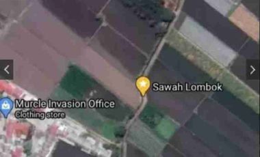 Tanah Sawah Cocok untuk Kavling dan Perumahan