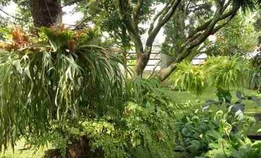 Dijual Cepat Villa Cantik Asri di Sariwangi Cihanjuang Cimahi