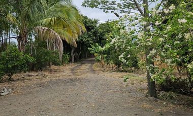 TERRENO CON CASAS EN VENTA EN CATAMAYO
