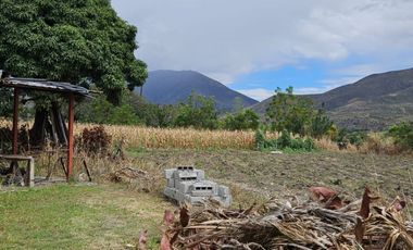 TERRENO CON CASAS EN VENTA EN CATAMAYO