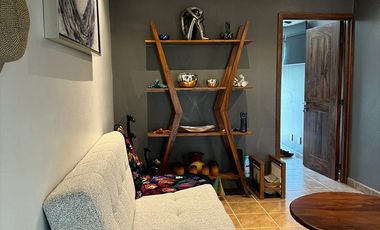 D206 Venta Departamento Tipo PH 1 recamara en Ixtapa