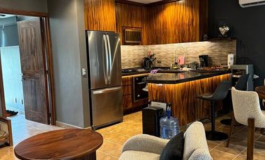 D206 Venta Departamento Tipo PH 1 recamara en Ixtapa