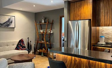 D206 Venta Departamento Tipo PH 1 recamara en Ixtapa