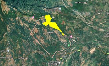 77 hectares agricultural land in Tanato, Balanga City, Bataan