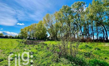 Oportunidad de inversión 34.300 m² en Río Bueno con gran proyección