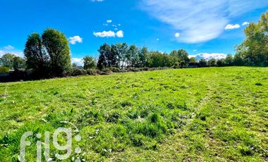 Oportunidad de inversión 34.300 m² en Río Bueno con gran proyección