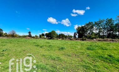 Oportunidad de inversión 34.300 m² en Río Bueno con gran proyección