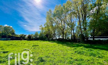 Oportunidad de inversión 34.300 m² en Río Bueno con gran proyección