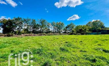 Oportunidad de inversión 34.300 m² en Río Bueno con gran proyección