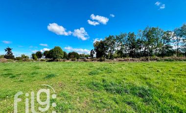 Oportunidad de inversión 34.300 m² en Río Bueno con gran proyección