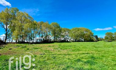 Oportunidad de inversión 34.300 m² en Río Bueno con gran proyección