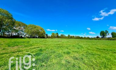 Oportunidad de inversión 34.300 m² en Río Bueno con gran proyección