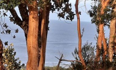 Casa de 90 m² con vista al mar en terreno de 5.000 m² – Playa Aucho, Chiloé