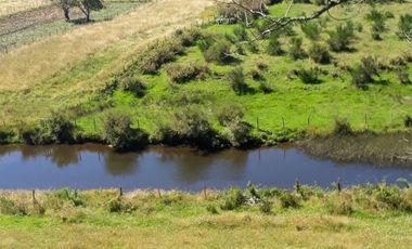 Casa de 90 m² con vista al mar en terreno de 5.000 m² – Playa Aucho, Chiloé