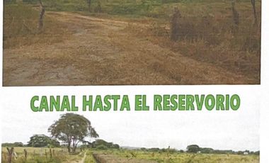 Hacienda Agropecuaria con Producción Camaronera en Venta - Manabí