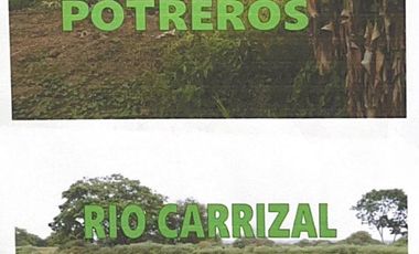 Hacienda Agropecuaria con Producción Camaronera en Venta - Manabí