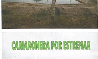 Hacienda Agropecuaria con Producción Camaronera en Venta - Manabí