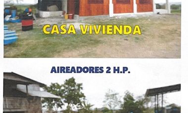Hacienda Agropecuaria con Producción Camaronera en Venta - Manabí