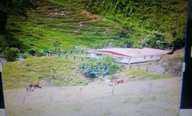 Finca en venta en Yolombó