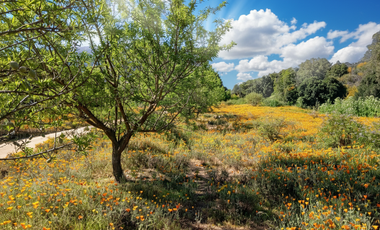 Parcelas Curacavi cerca de la ciudad y el mar