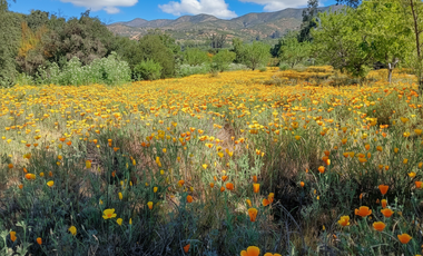 Parcelas Curacavi cerca de la ciudad y el mar