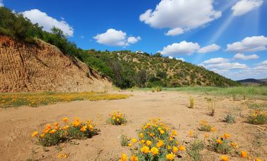 Parcelas Curacavi cerca de la ciudad y el mar