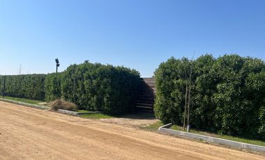 Venta Parcela con Proyecto de Casa en Construcción –Colonia Alemana