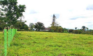 EN VENTA LOTE EN QUIMBAYITA VIA CERRITOS