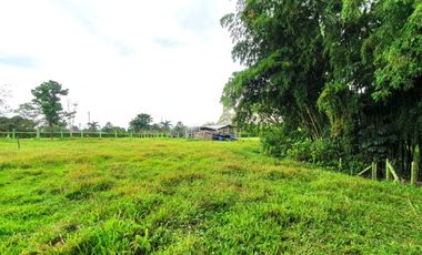 EN VENTA LOTE EN QUIMBAYITA VIA CERRITOS