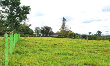 EN VENTA LOTE EN QUIMBAYITA VIA CERRITOS