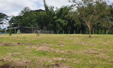 EN VENTA LOTE EN QUIMBAYITA VIA CERRITOS