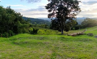 VENTA PARCELA 1.5KM DE CURITÍ