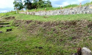 VENTA PARCELA 1.5KM DE CURITÍ