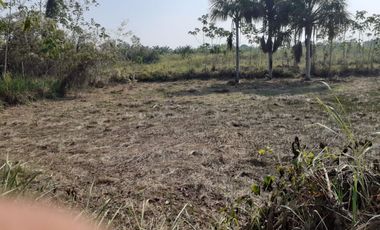 OPORTUNIDAD DE COMPRA EMPRESAS AGRO-INDUSTRIALES