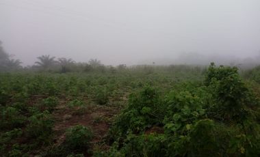 OPORTUNIDAD DE COMPRA EMPRESAS AGRO-INDUSTRIALES