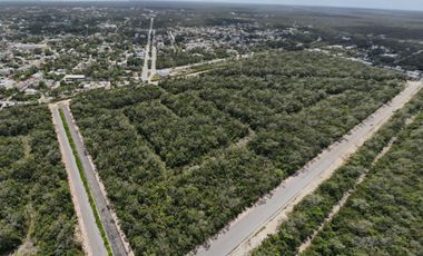 Lote Residencial en Riviera Tulum – Inversión Ideal con Seguridad y Amenidades