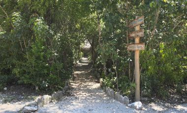 Lote Residencial en Riviera Tulum – Inversión Ideal con Seguridad y Amenidades
