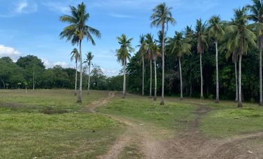 CLEAN TITLED LOT FOR SALE IN BABAK  SAMAL FOR SALE