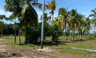 CLEAN TITLED LOT FOR SALE IN BABAK  SAMAL FOR SALE