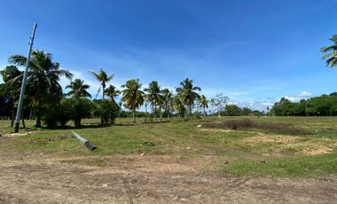 CLEAN TITLED LOT FOR SALE IN BABAK  SAMAL FOR SALE