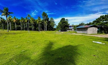 CLEAN TITLED LOT FOR SALE IN BABAK  SAMAL FOR SALE