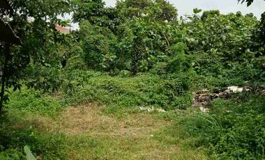 Dijual & Disewakan Lahan Strategis Pinggir Jalan