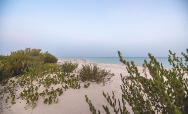 FRENTE A PLAYA  DEPTO  COSTA YUCATECA