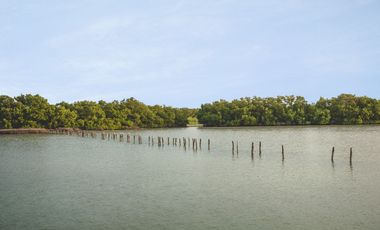 FRENTE A PLAYA  DEPTO  COSTA YUCATECA