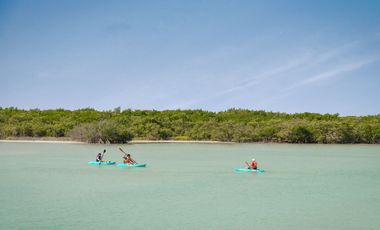 FRENTE A PLAYA  DEPTO  COSTA YUCATECA