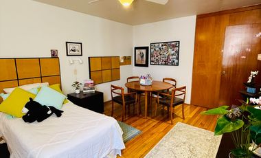 Departamento Remodelado En Providencia