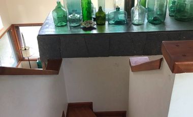 Parque del Lago Villarrica - Pucón Km.6 Sector Colegio Alemán