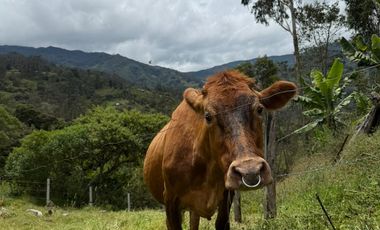 Se Vende Lote Gama, Cundinamarca.