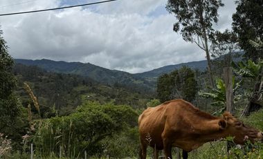 Se Vende Lote Gama, Cundinamarca.