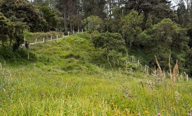 Se Vende Lote Gama, Cundinamarca.